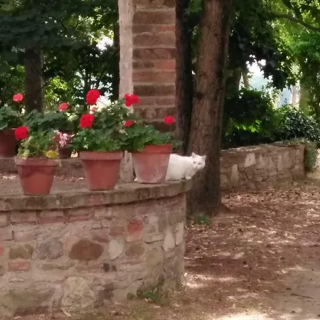 Апартаменты Casale Labandita *