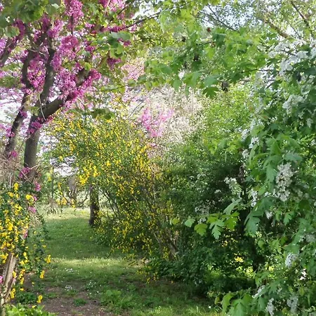 Casale Labandita * Кастильоне-дель-Лаго